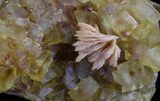 Yellow Cubic Fluorite With Pink Dolomite - Morocco #37485-1